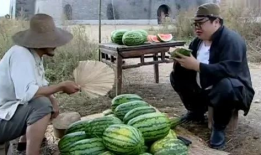 吃瓜爆料黑反差曹县,揭秘曹县背后的惊人反差