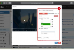 视频问答,揭秘热门话题背后的真相